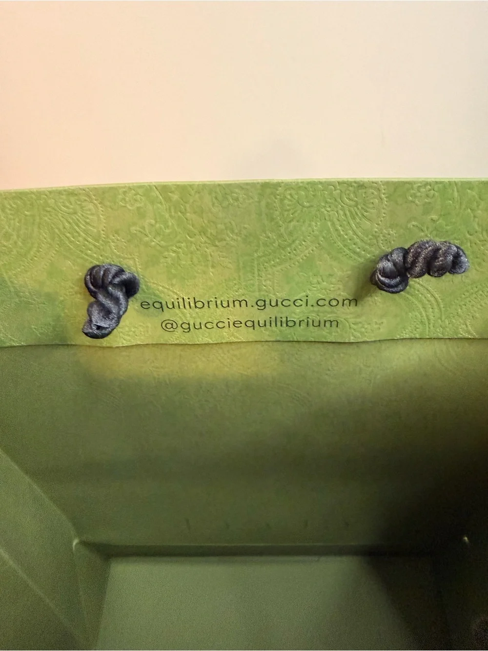 Gucci Green Shopping Gift Bag Dust Bag Cards Packaging Bundle Set